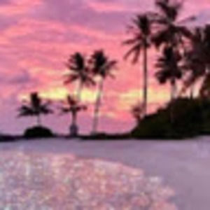 Meet your Posher, Maelee